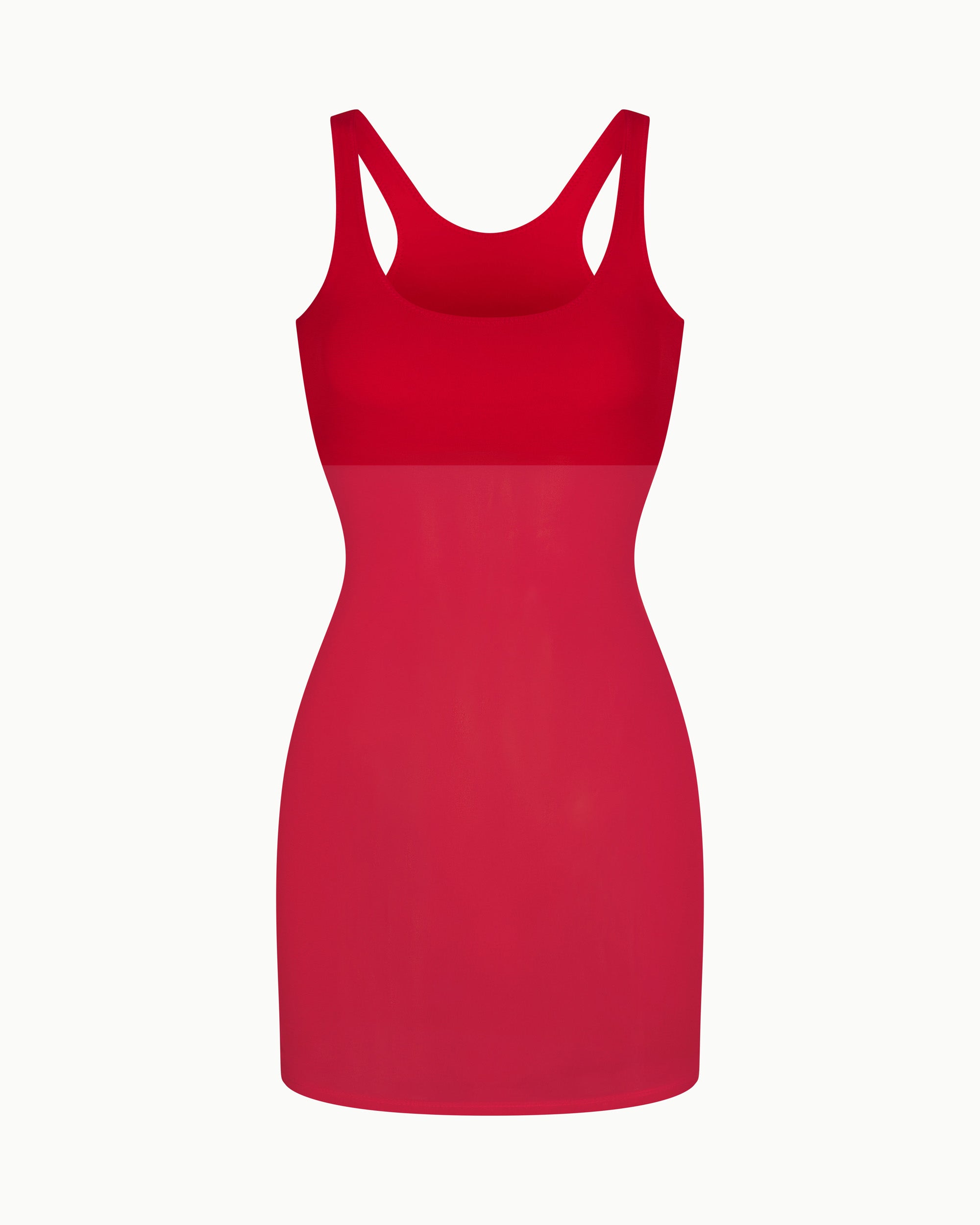 Mesh Swim Mini Dress | Cherry